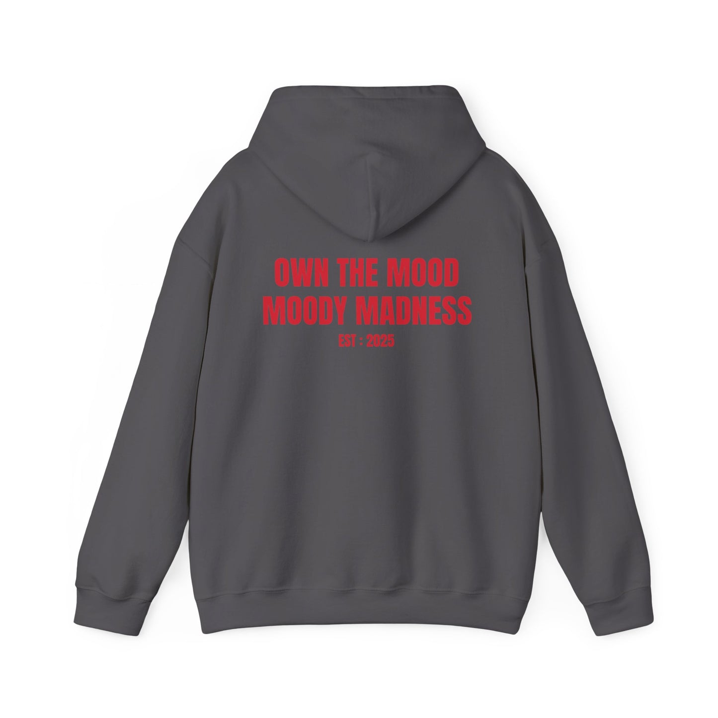 Own The Mood Hoodie