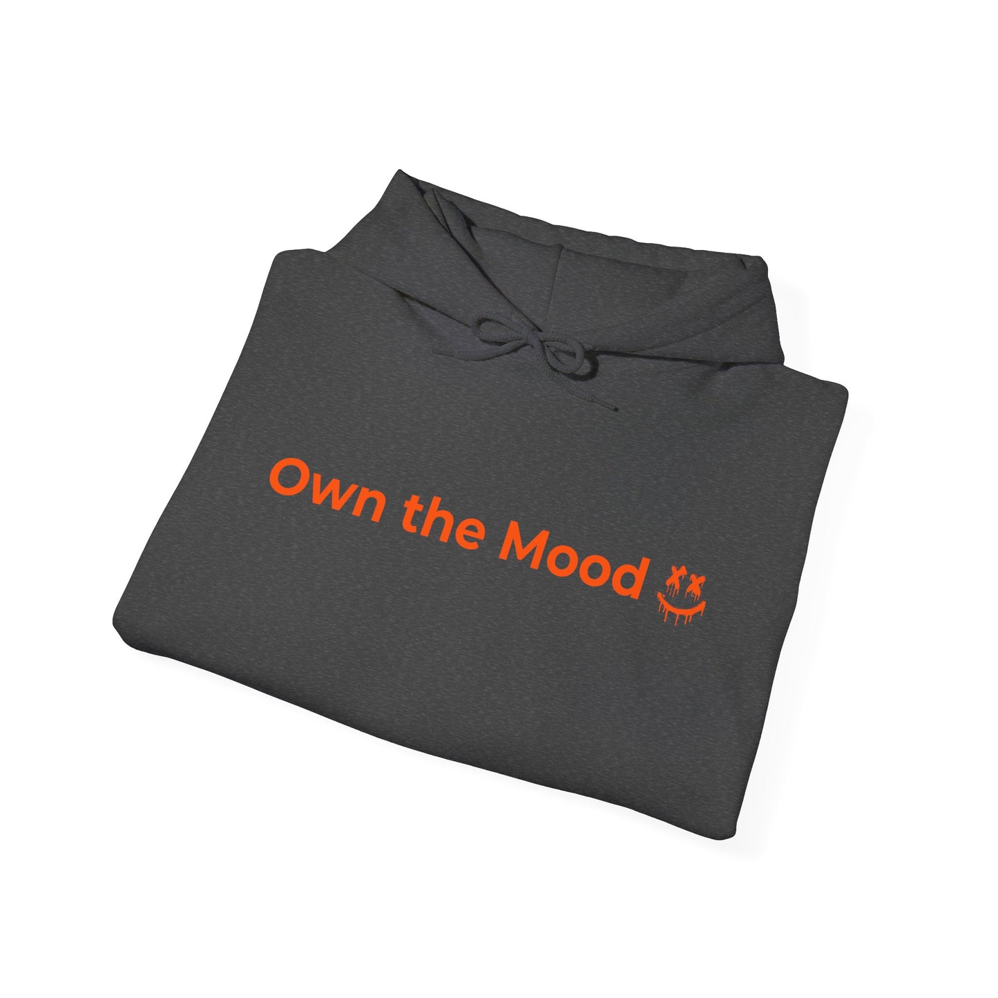 Own The Mood Hoodie