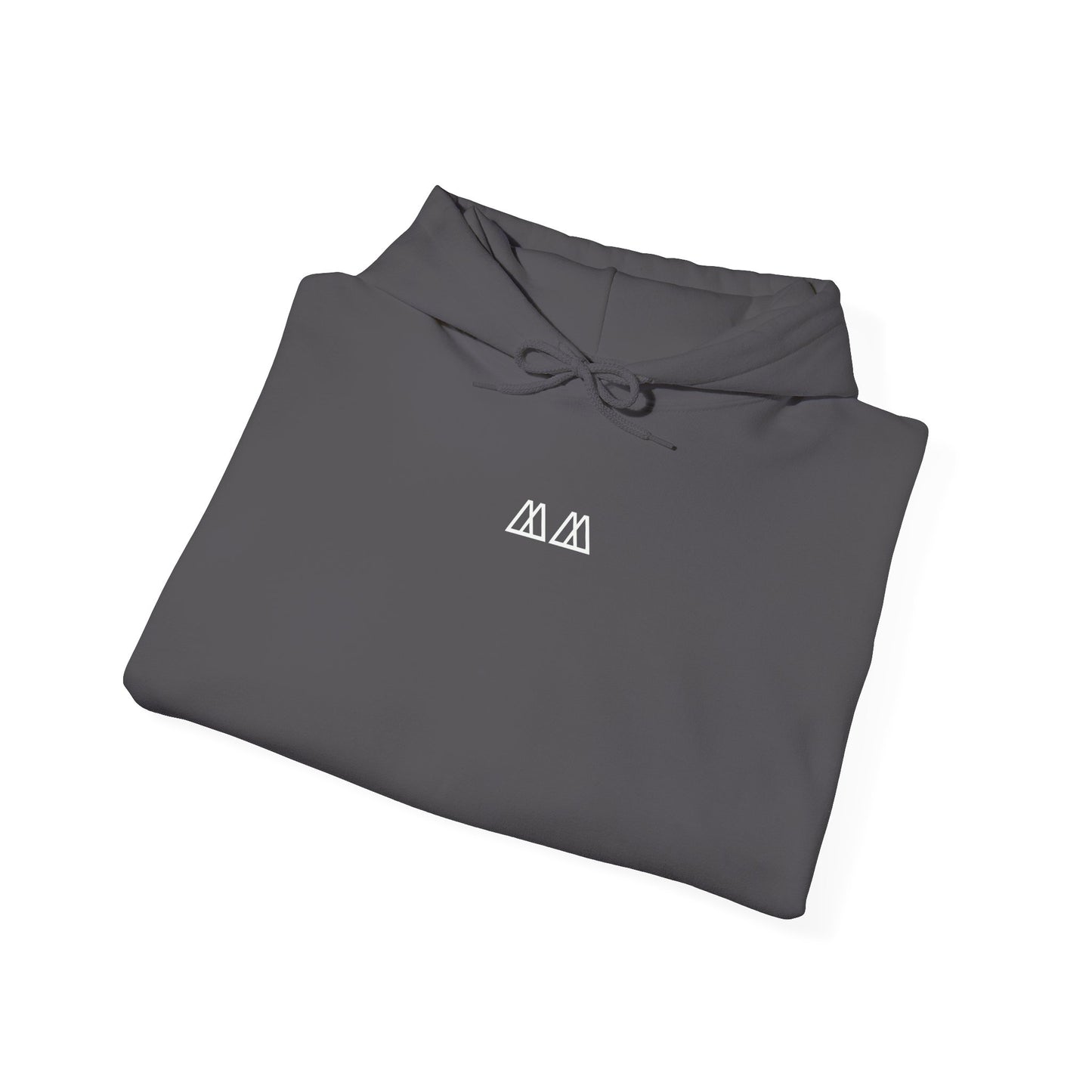 'Fear Is A Lie' Hoodie