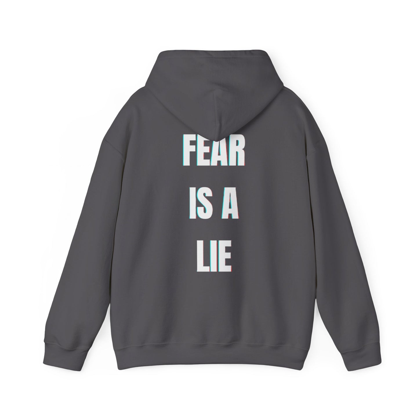 'Fear Is A Lie' Hoodie