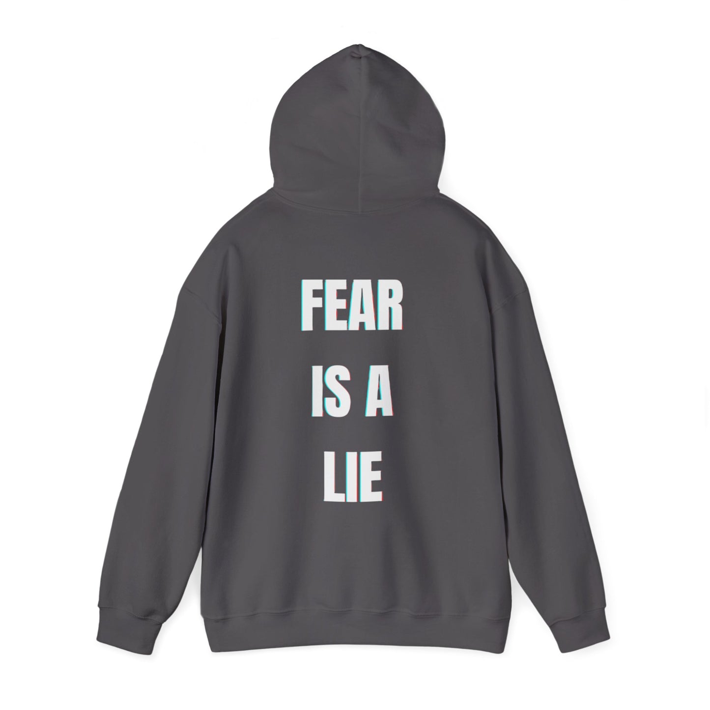 'Fear Is A Lie' Hoodie