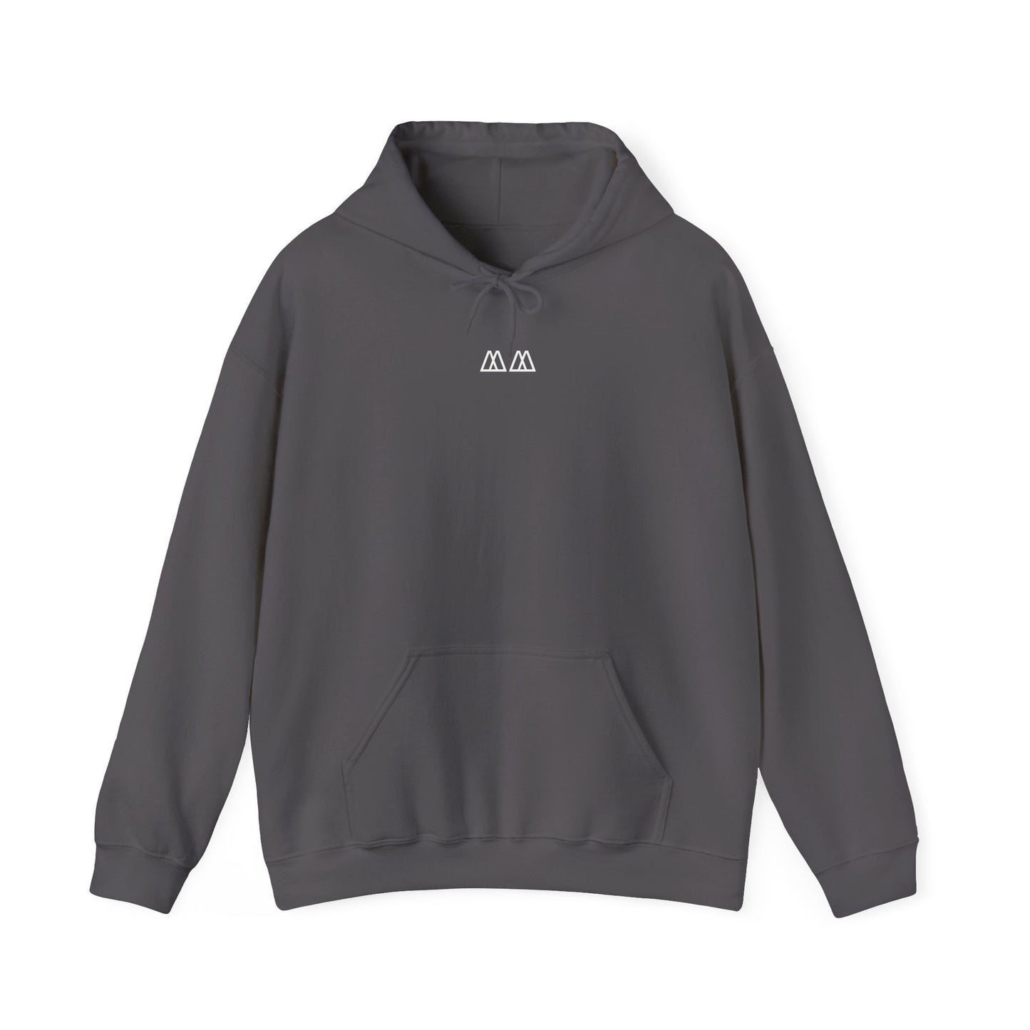 'Fear Is A Lie' Hoodie