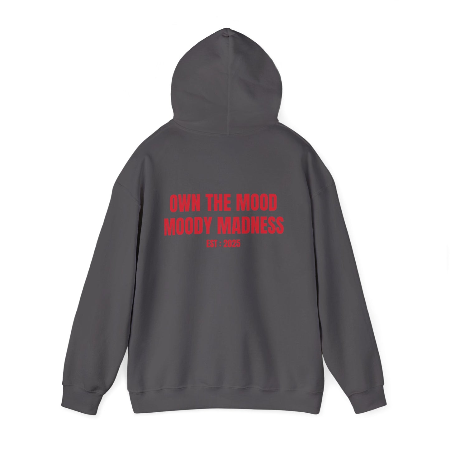 Own The Mood Hoodie