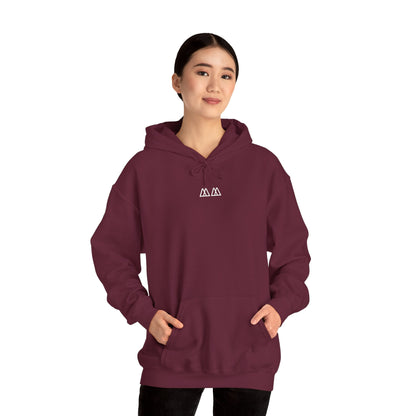 'Fear Is A Lie' Hoodie